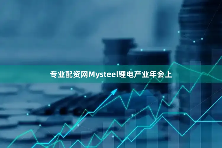 专业配资网Mysteel锂电产业年会上