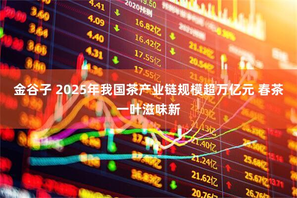 金谷子 2025年我国茶产业链规模超万亿元 春茶一叶滋味新