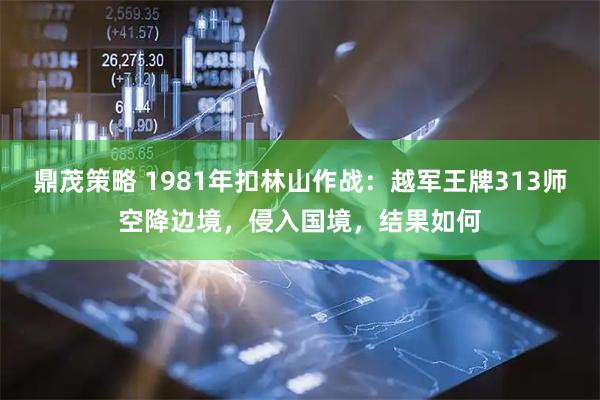 鼎茂策略 1981年扣林山作战：越军王牌313师空降边境，侵入国境，结果如何